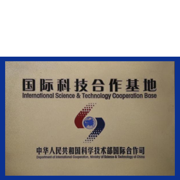 抖圈(中国区)人生就是搏!